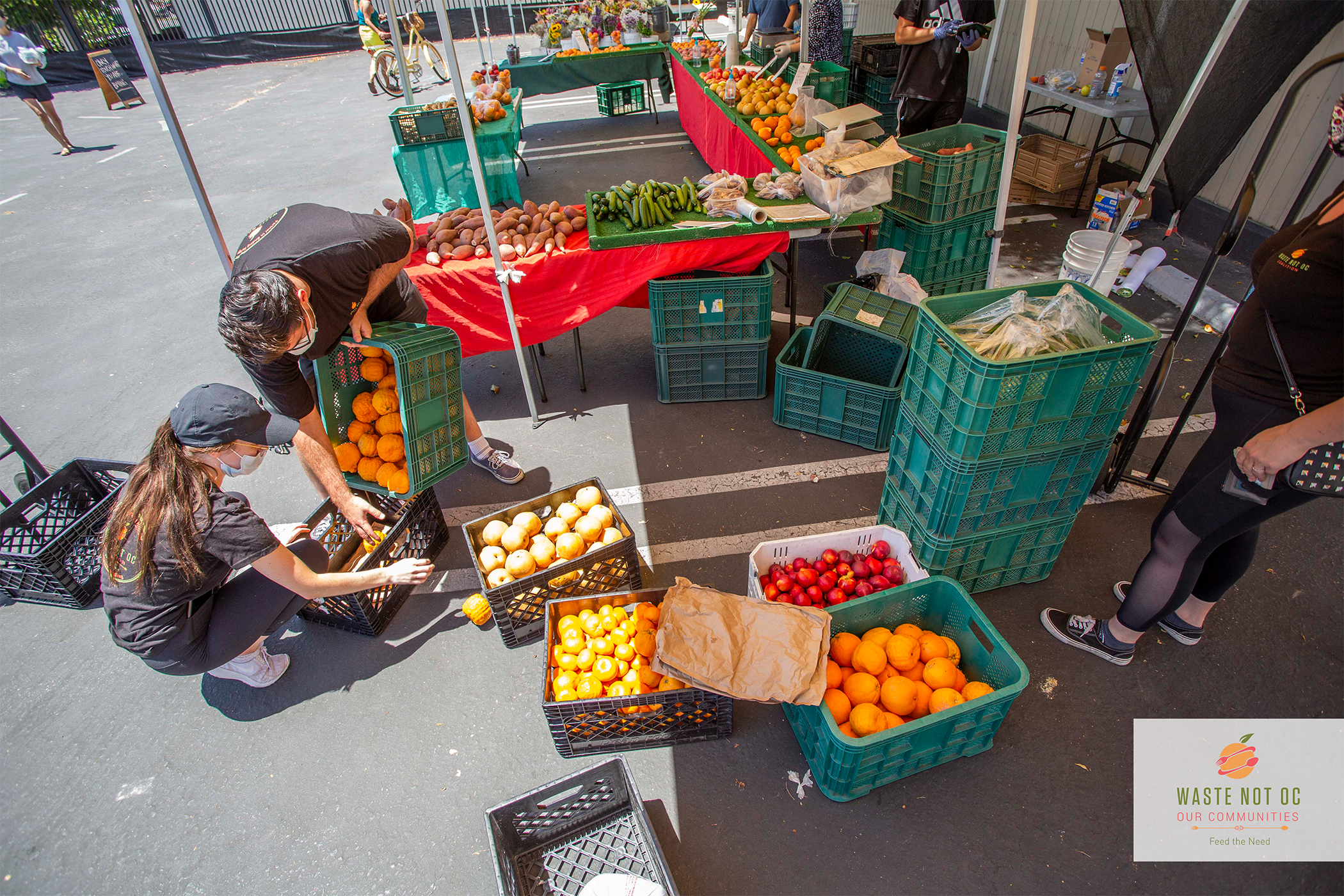 WNOC Farmers Market