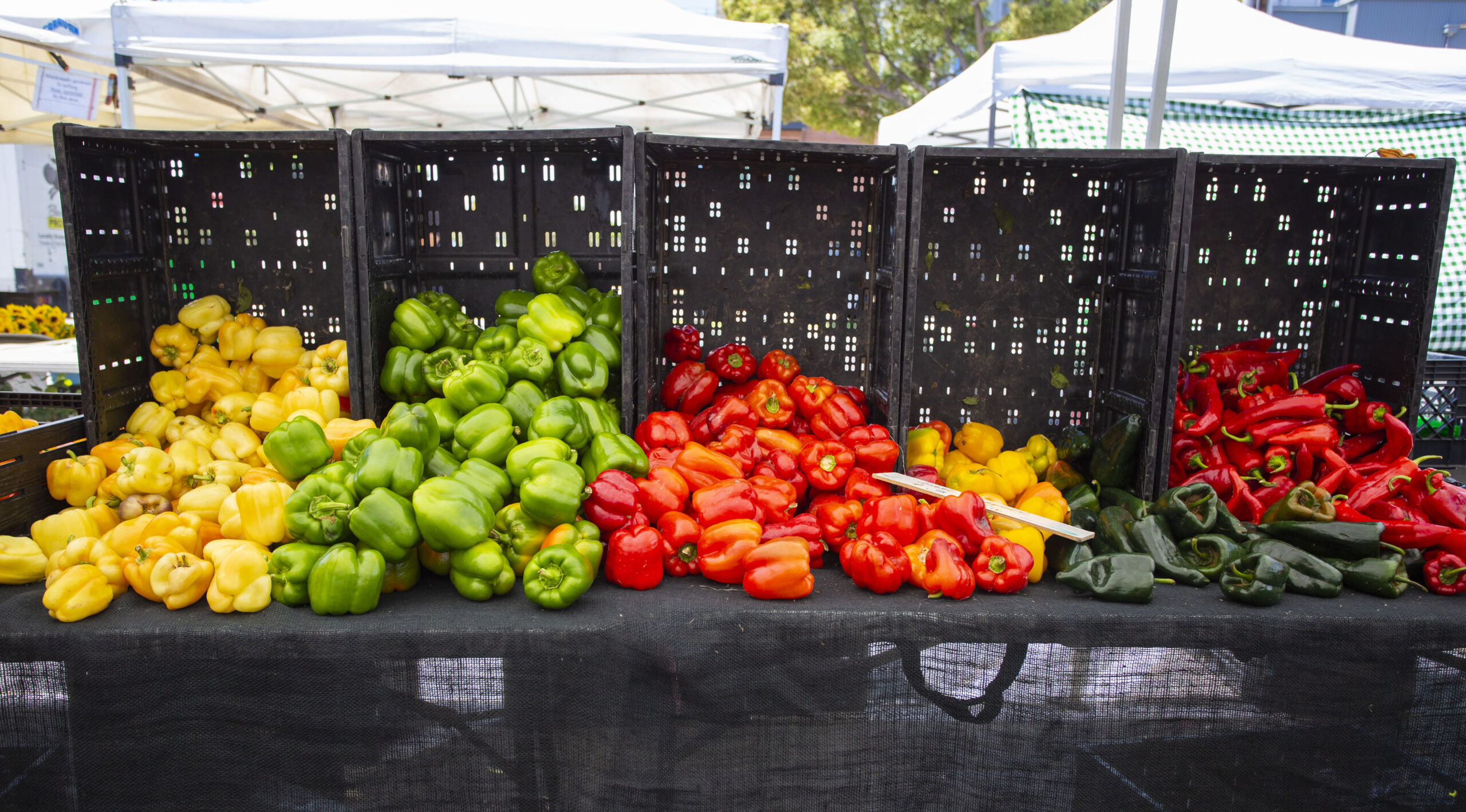Food-Resource-Recovery-Banner-scaled