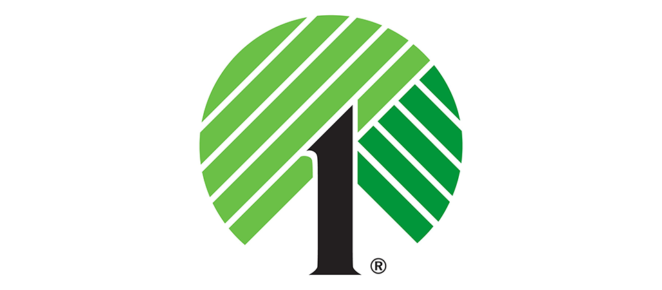Dollar Tree